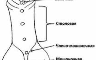 Формы гипоспадии – особенности и методы оперативного лечения